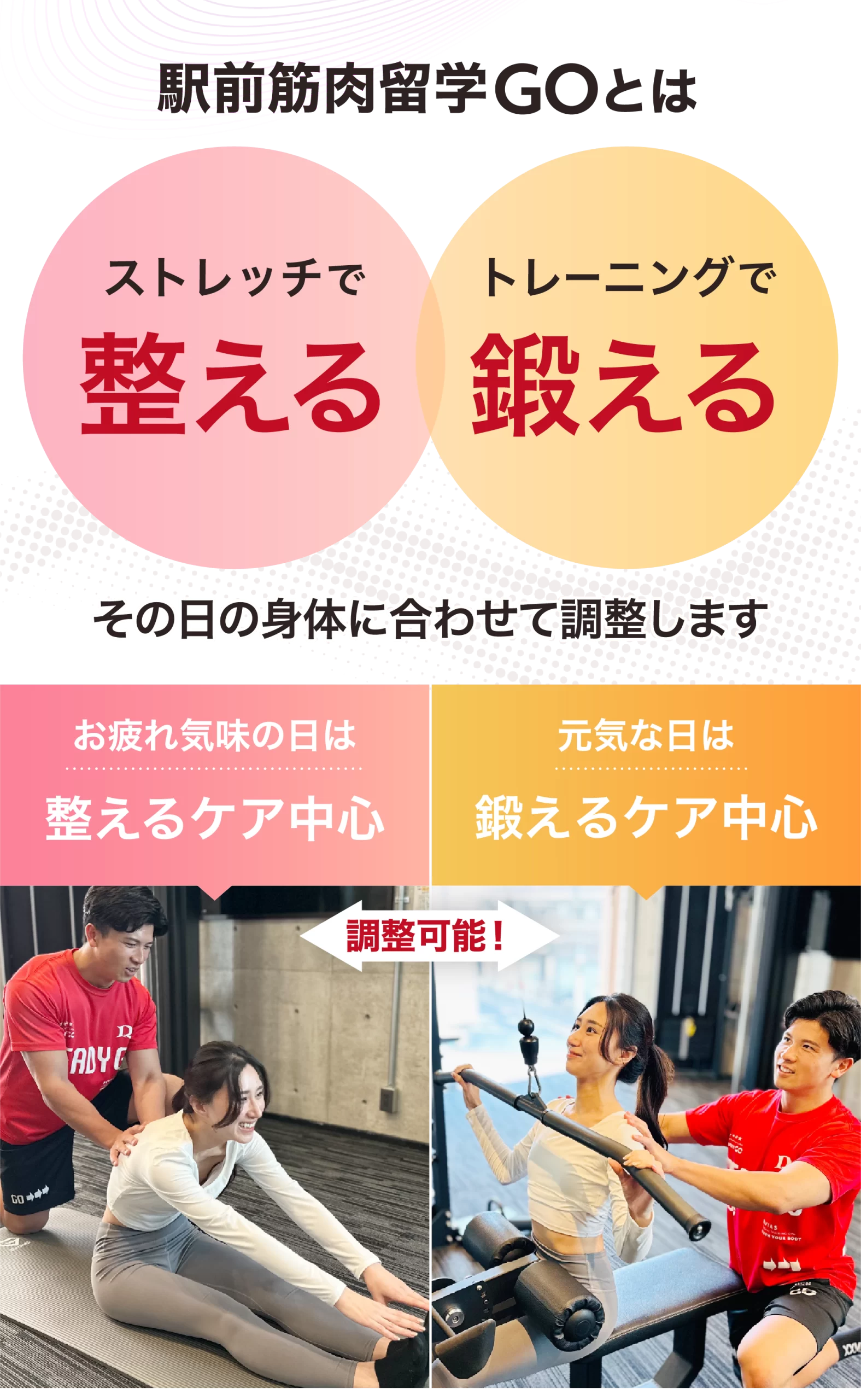 ストレッチ画像5