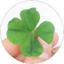 yosshi_shi yosshi_shi