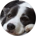 JJのりこ JJのりこ